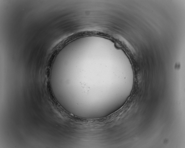 X0000103271064200808291102