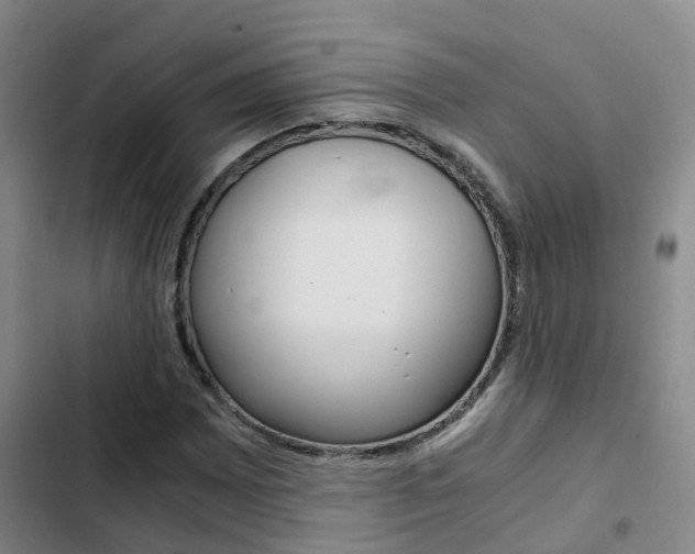 X0000103271065200808291102