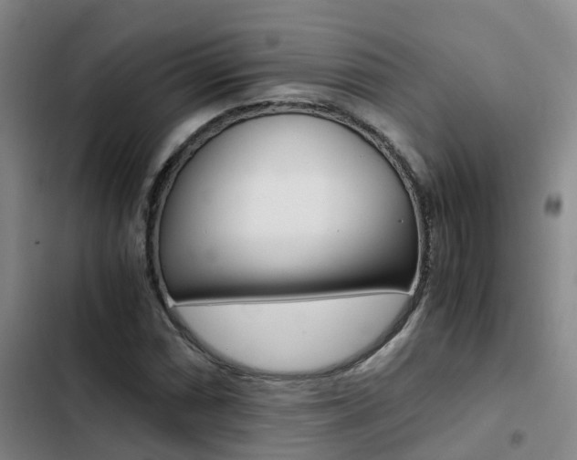 X0000103271066200808291102