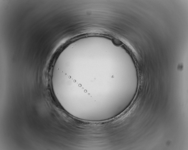 X0000103271067200808291102