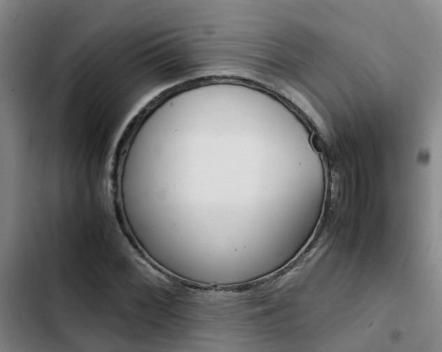 X0000103271068200808291102