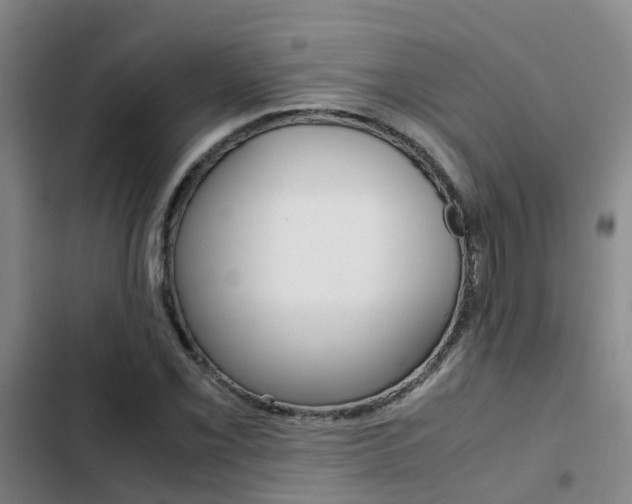 X0000103271069200808291102