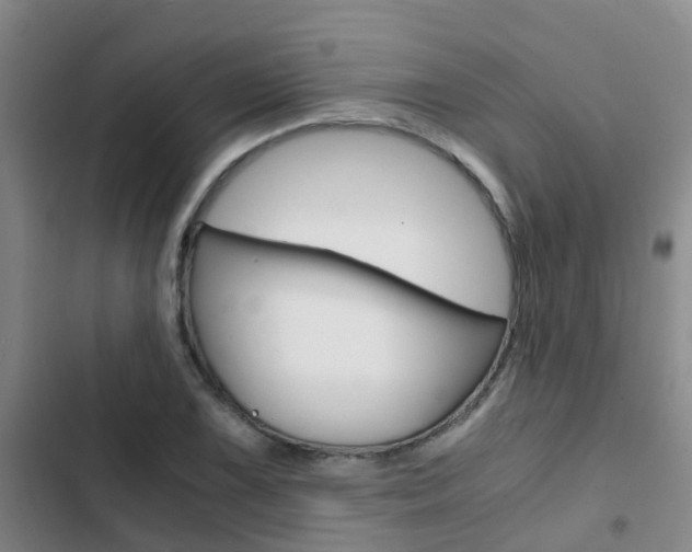 X0000103271075200808291101