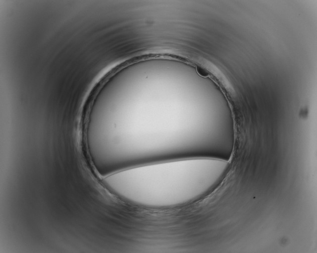 X0000103271076200808291101
