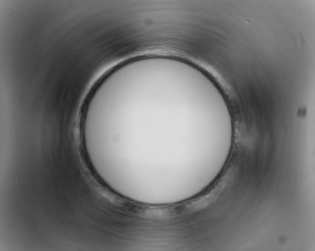 X0000103271078200808291101