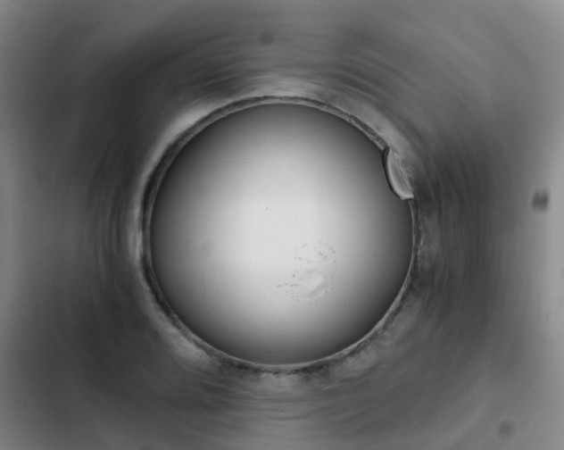 X0000103271080200808291101
