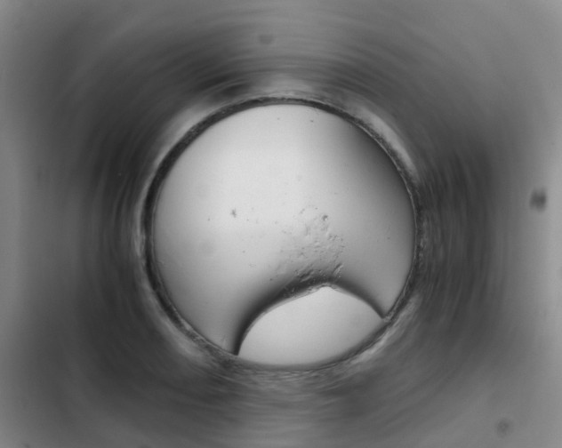 X0000103271082200808291101