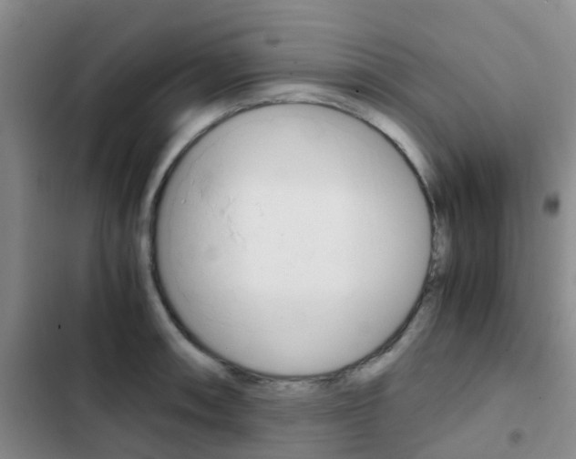 X0000103271090200808291101
