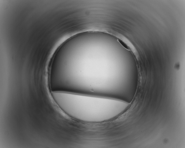 X0000103271096200808291101