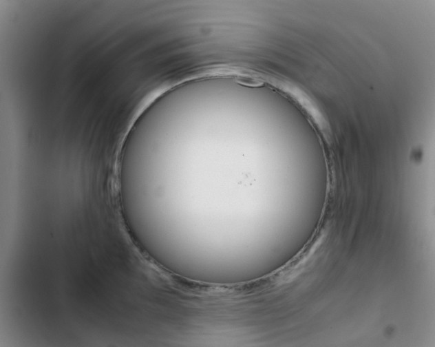 X0000103271097200808291101