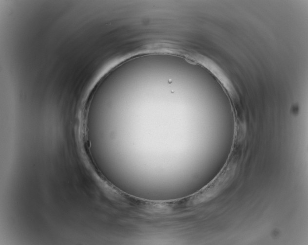 X0000103271101200808291101