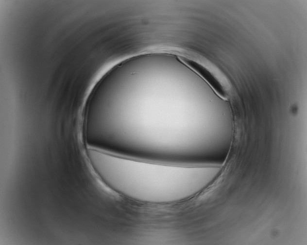 X0000103271102200808291101