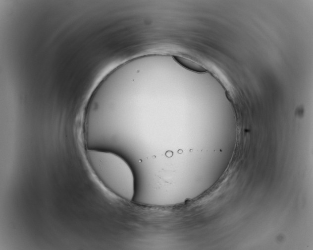 X0000103271103200808291101