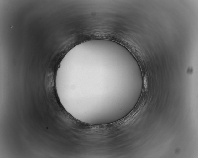 X0000103271107200808291100