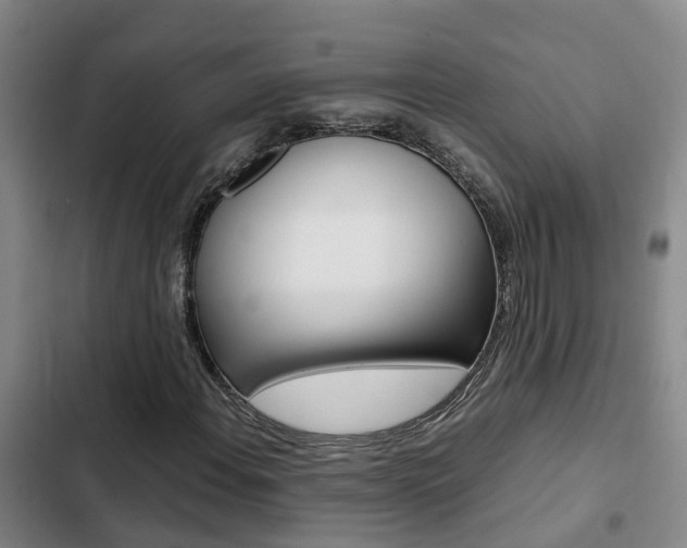X0000103271108200808291100