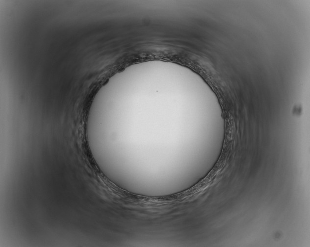 X0000103271109200808291100