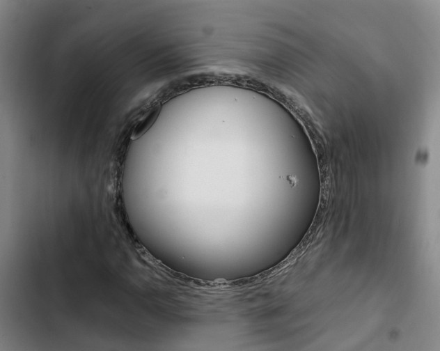 X0000103271110200808291100