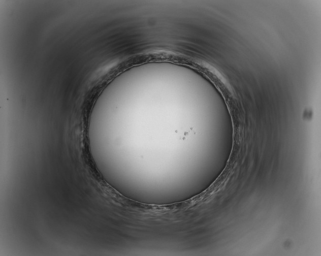 X0000103271111200808291100