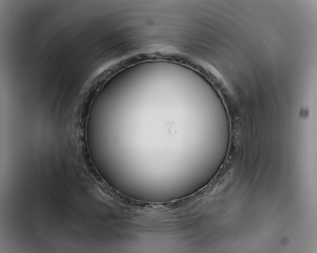 X0000103271112200808291100