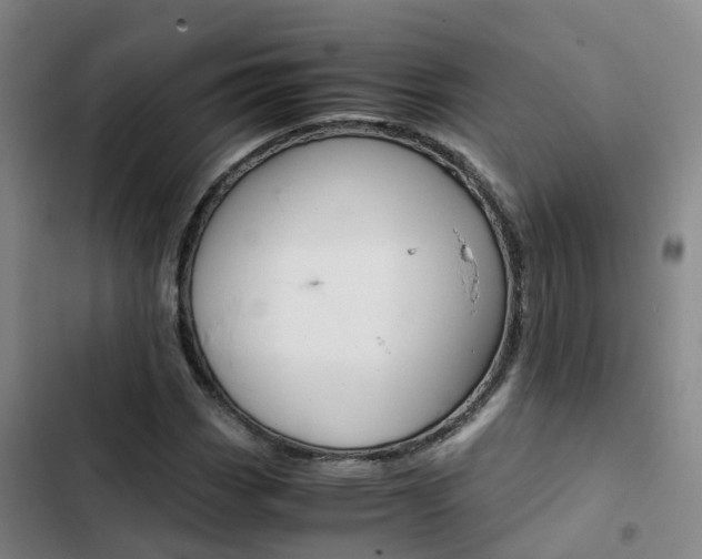 X0000103271113200808291100