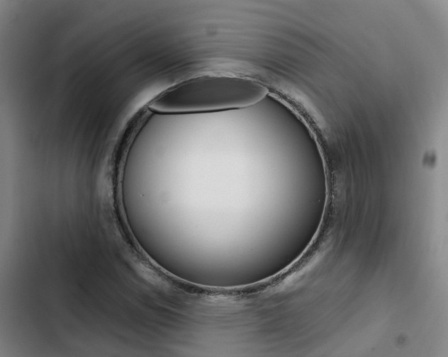 X0000103271114200808291100
