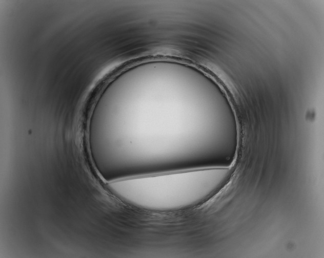X0000103271115200808291100