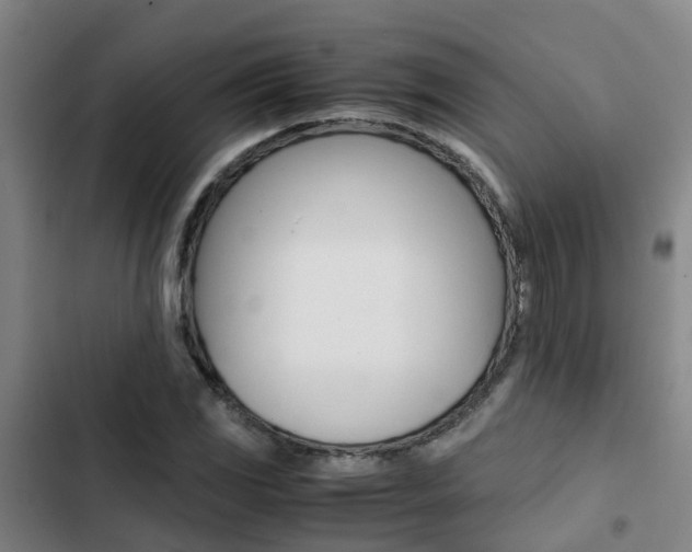 X0000103271117200808291100