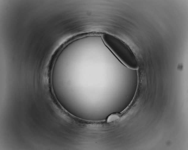 X0000103271118200808291100