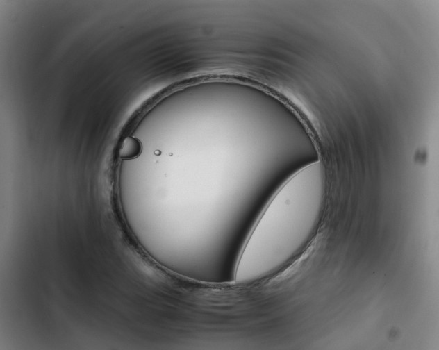 X0000103271119200808291101