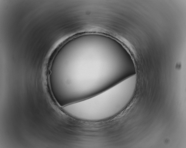 X0000103271120200808291101