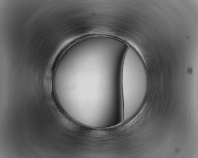 X0000103271123200808291101