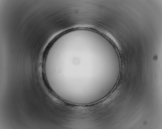 X0000103271124200808291101