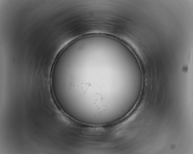 X0000103271129200808291101