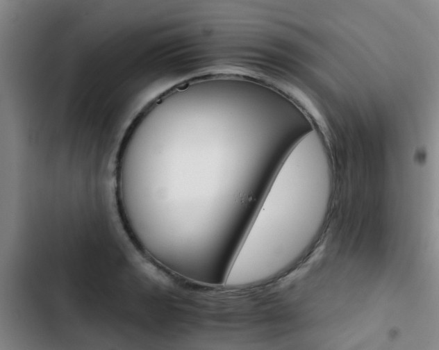 X0000103271133200808291101
