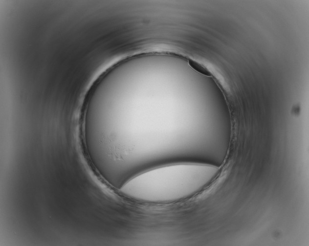 X0000103271134200808291101