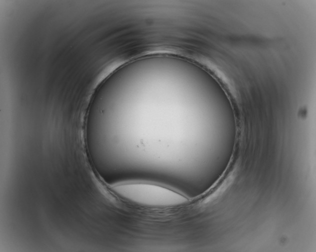 X0000103271137200808291101