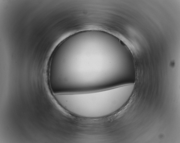 X0000103271142200808291101