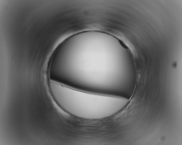 X0000103271143200808291101