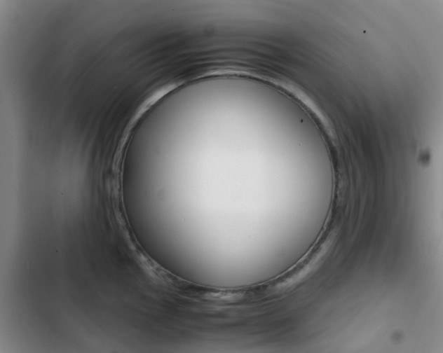 X0000103271145200808291101