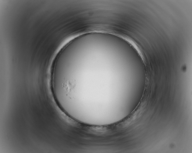 X0000103271147200808291101