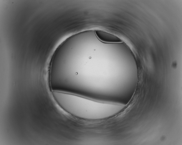 X0000103271151200808291101
