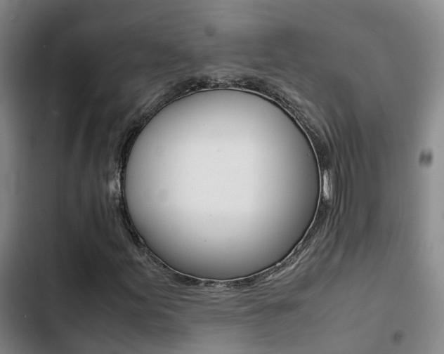 X0000103271155200808291100
