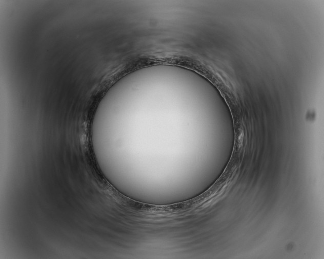 X0000103271156200808291100