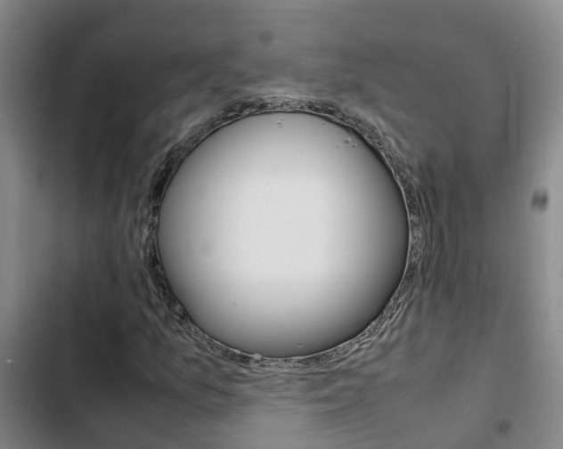 X0000103271157200808291100