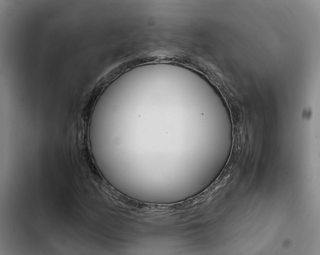 X0000103271158200808291100