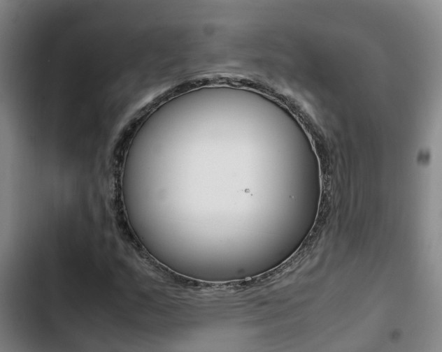 X0000103271159200808291100
