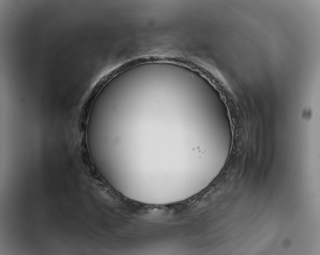 X0000103271160200808291100