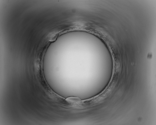 X0000103271161200808291100