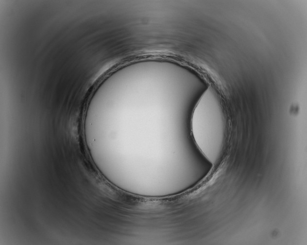 X0000103271162200808291100