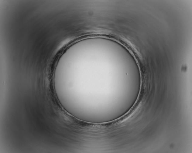 X0000103271163200808291100
